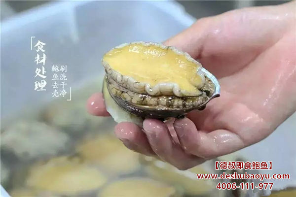 鲍鱼清洗