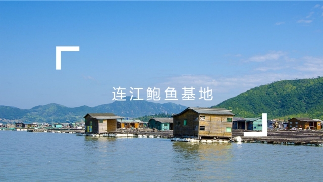 德叔鲍鱼养殖基地